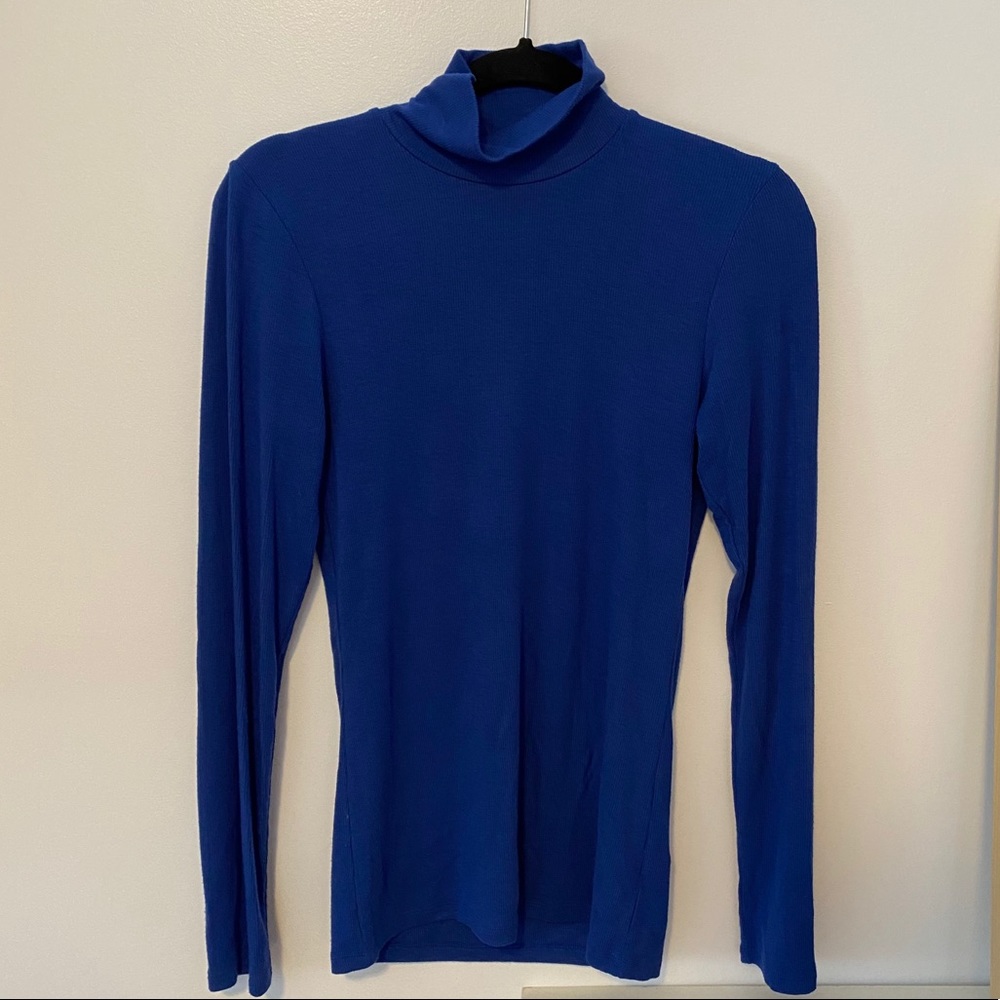 Aritzia Wilfred Only Turtleneck